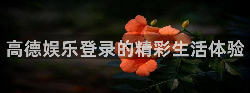 银河官网购票